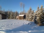still winter 002.jpg