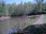 Pond - Dock.jpg