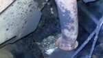 2011-04-27_16-58-12_327.jpg