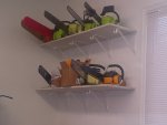 shelves.jpg