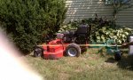 IMAG0061.jpg