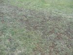 DSCN4981.jpg DSCN4981.jpg