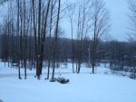 image-4151910423.jpg