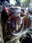 IMG_20110513_180029.jpg
