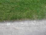 trimmer line zoomed out.jpg