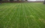lawn 1.jpg lawn 1.jpg