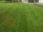 lawn 2.jpg lawn 2.jpg