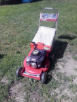 old toro.png old toro.png