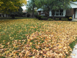 ForumRunner_20141018_175825.png