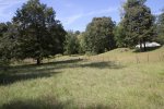 Back of property hills.jpg Back of property hills.jpg