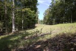 Front of property slope.jpg Front of property slope.jpg