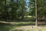 NorthEast Corner facing South.jpg NorthEast Corner facing South.jpg