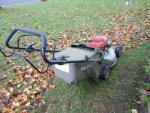 Leaf Removal.jpg Leaf Removal.jpg
