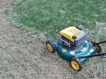 dethatch blade for the mower 1.jpg dethatch blade for the mower 1.jpg