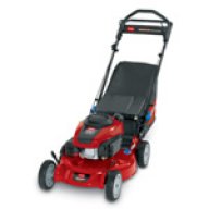 Grass ala Mowed