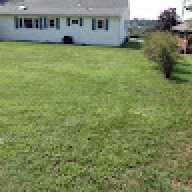 Seed to Weed Lawn Care