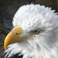 PhilW