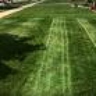 Jealous Lawn Care