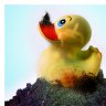 Dirty Duck