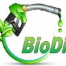 biodiesel