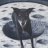 Moondoggy
