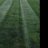 Striper