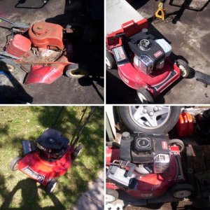 Here is my toro collection