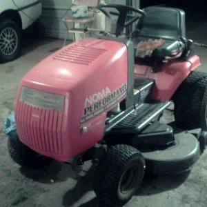 my noma