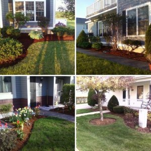 Top Dog Landscaping
