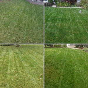 2014 Lawns