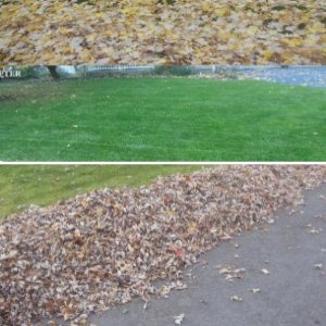 2014 Fall Clean-up