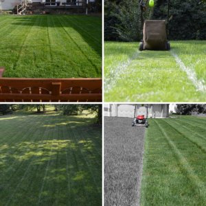 2015 Lawns