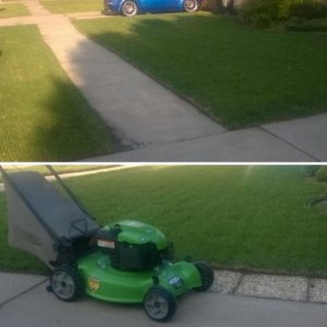My Yard