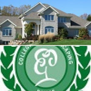 lawn mowing services