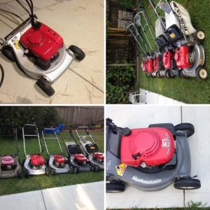 Honda collection
