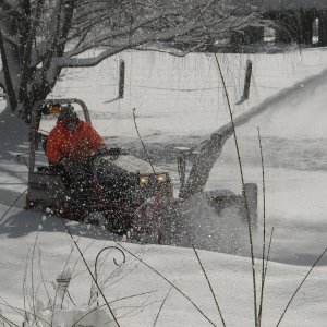 February snow 159