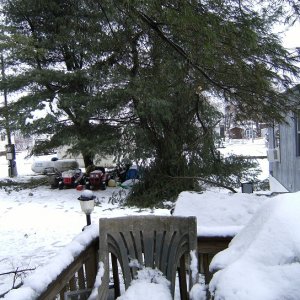 DSCF0697