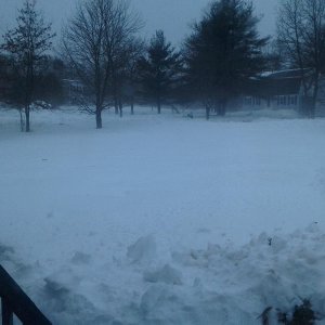 Front yard
