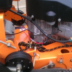IMAG0089