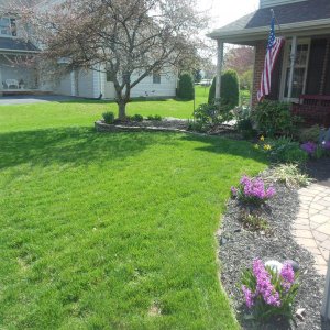 First Cut of the Season