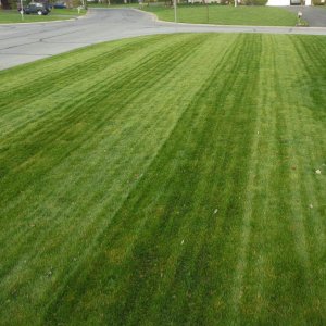 Lawn Stripes