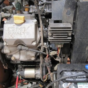IMG 0284