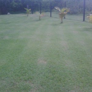 IMG00677 20130915 1517