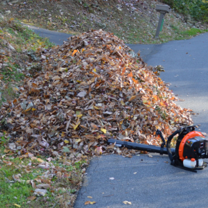 leaf pile 1