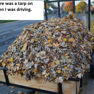 leaf trailer
