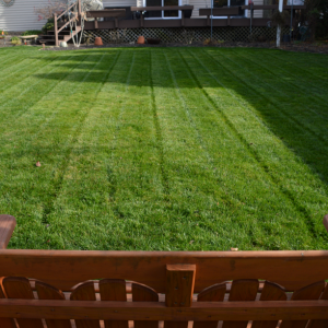 last cut