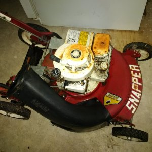 IMG 002450