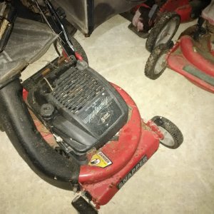 IMG 002415