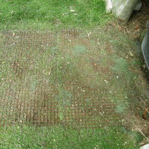 coxy metal mat3 s