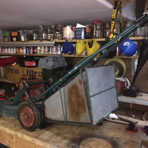 IMG 3118